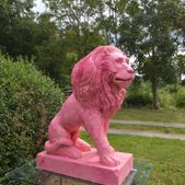 pink lion